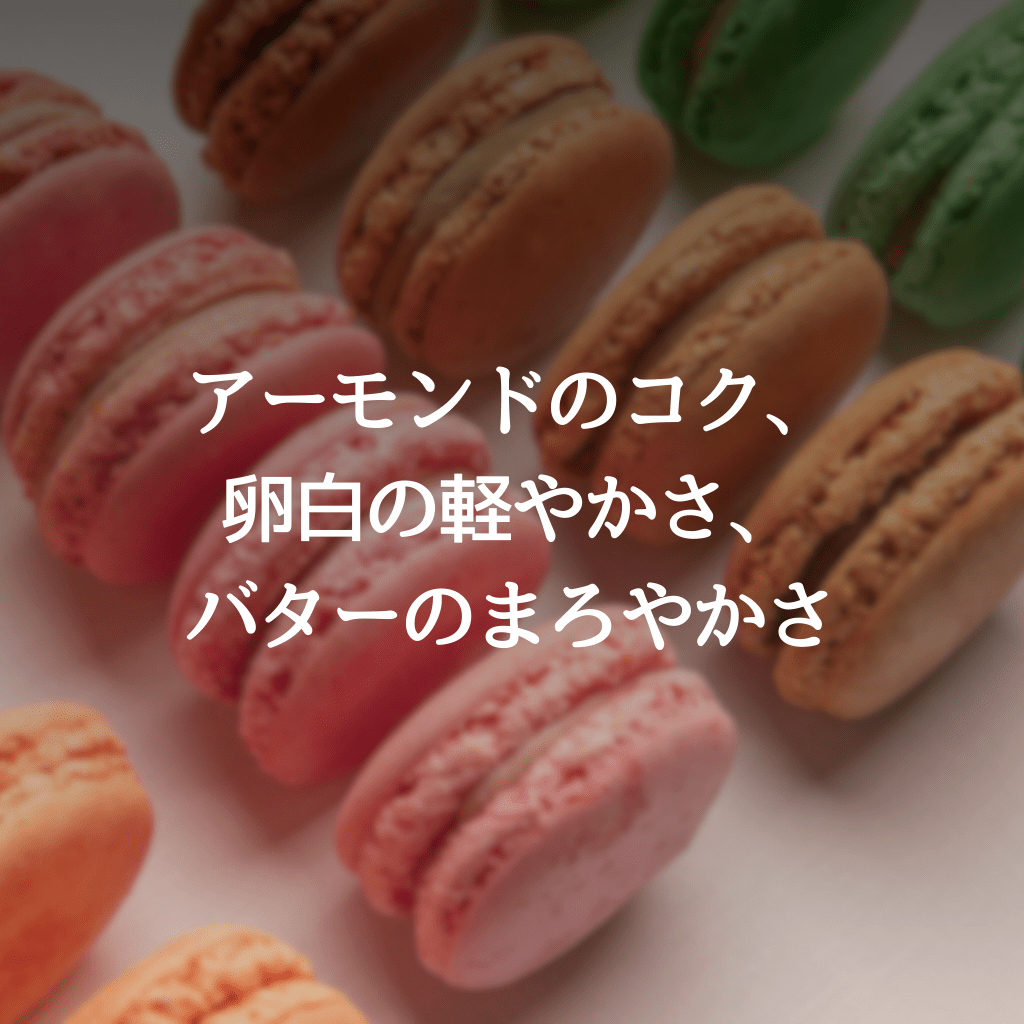 マカロン詰合せ10個入り - 清正ストア