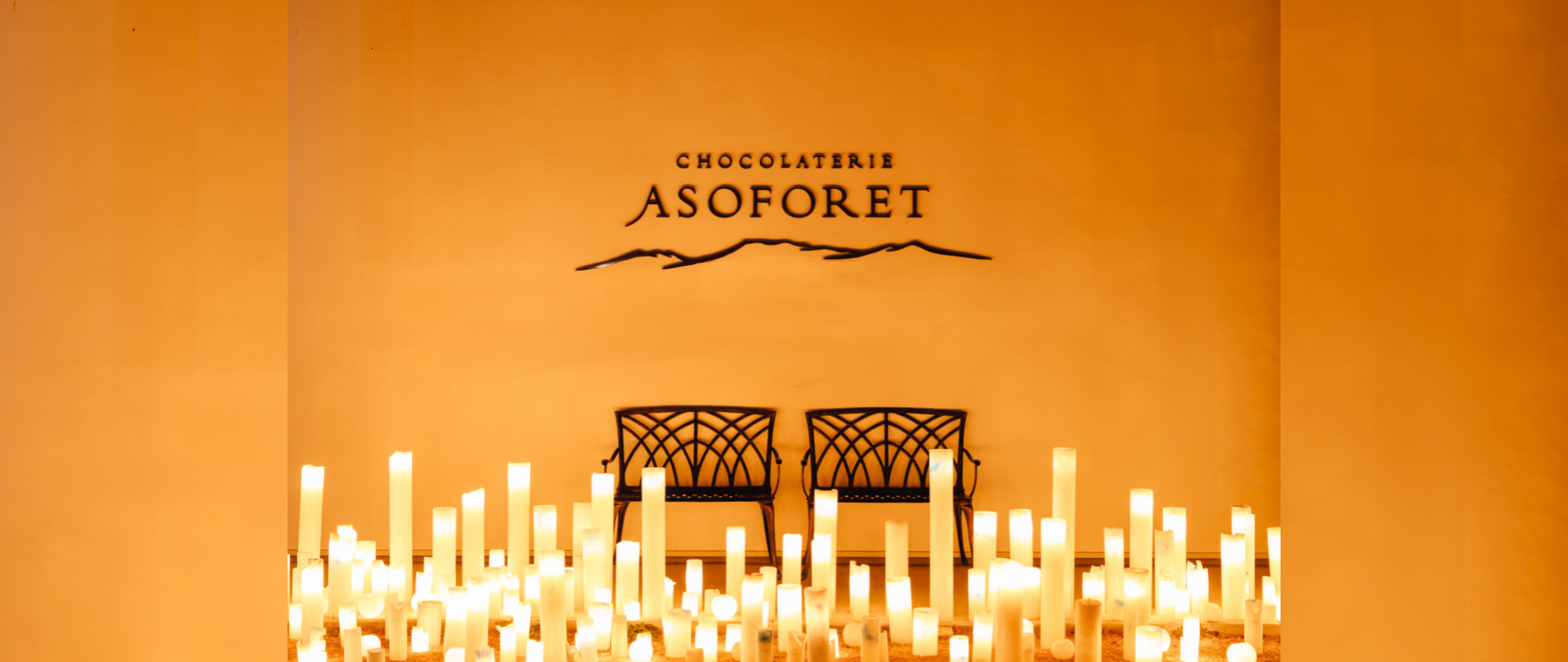 プレミアムコレクション