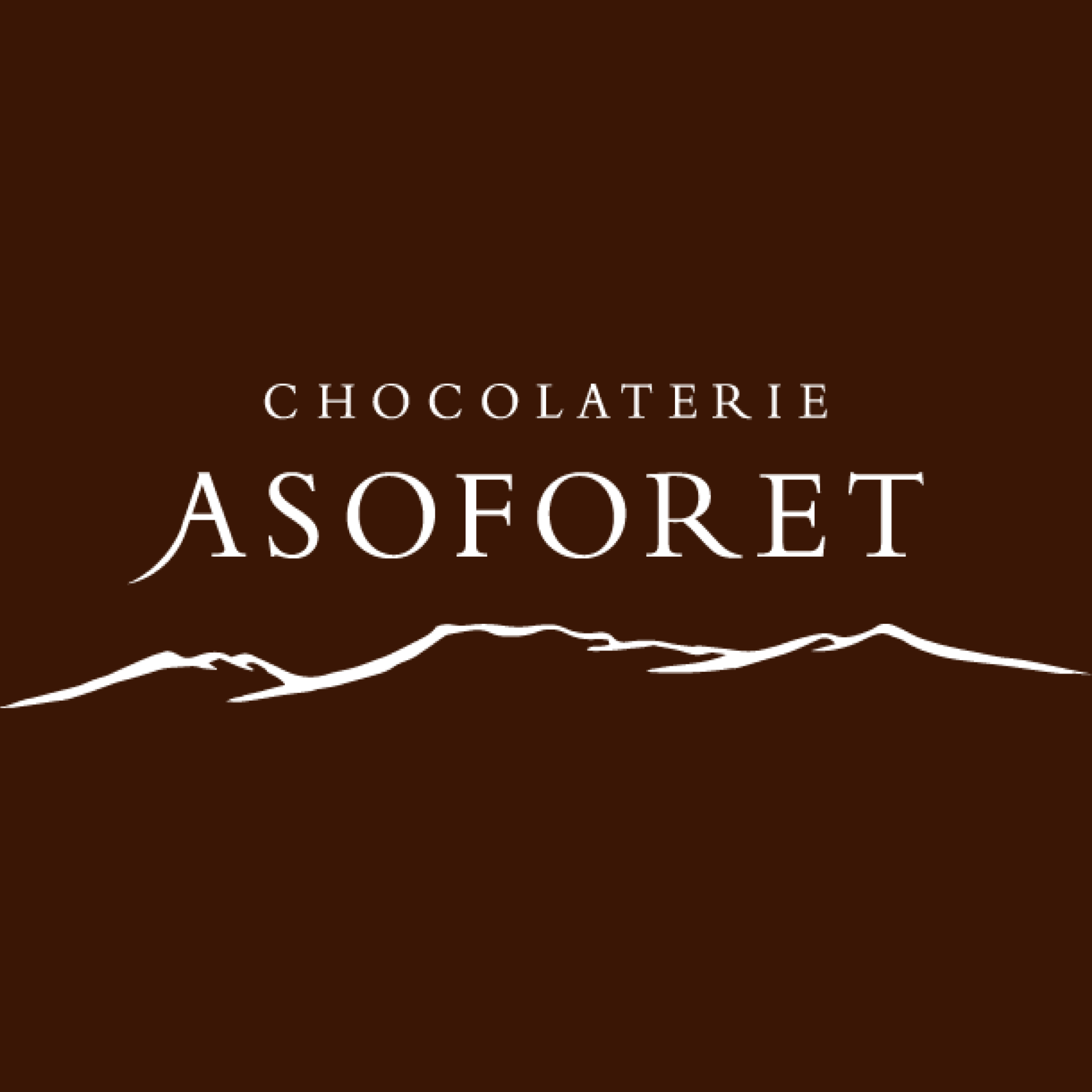 マカロン詰合せ10個入り