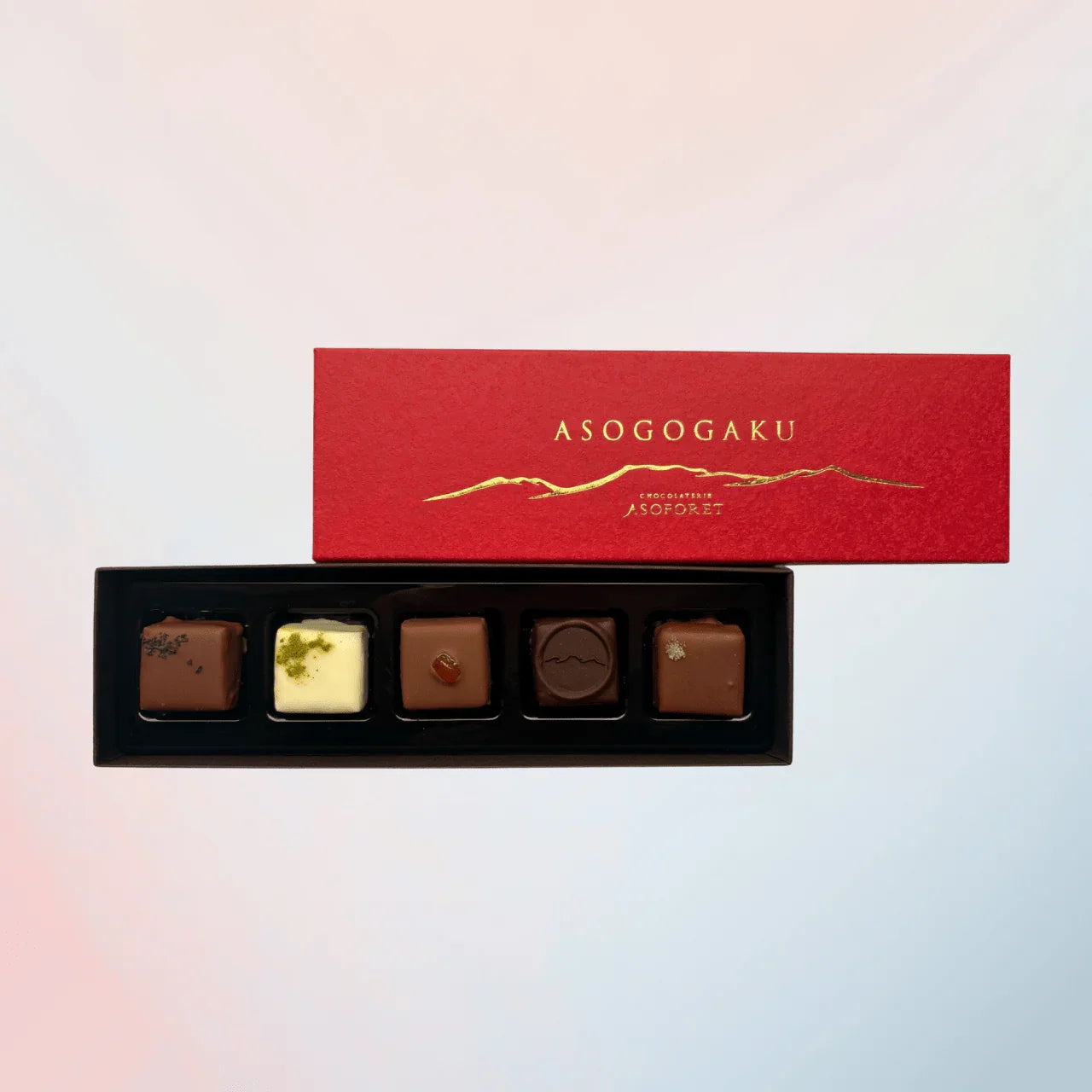 ASOGOGAKU｜阿蘇五岳ボンボンショコラ - 清正ストア