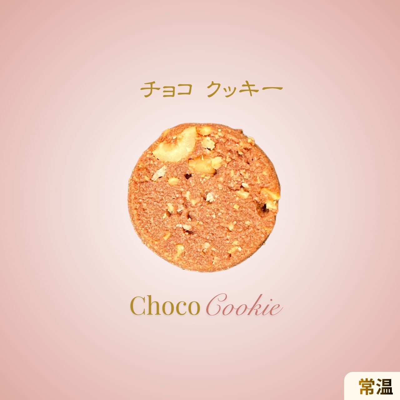 チョコ  (ハードクッキー)