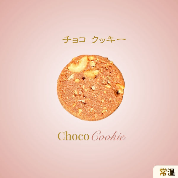 チョコ  (ハードクッキー)