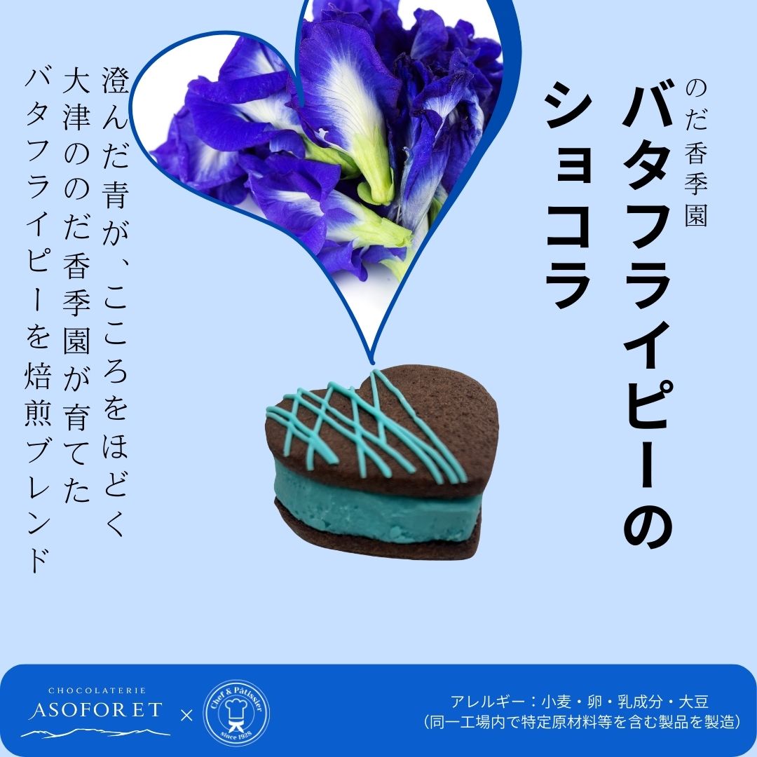 推しに捧げるカラフルガナッシュサンド｜選べる7色｜推し活スイーツ｜ギフト対応可