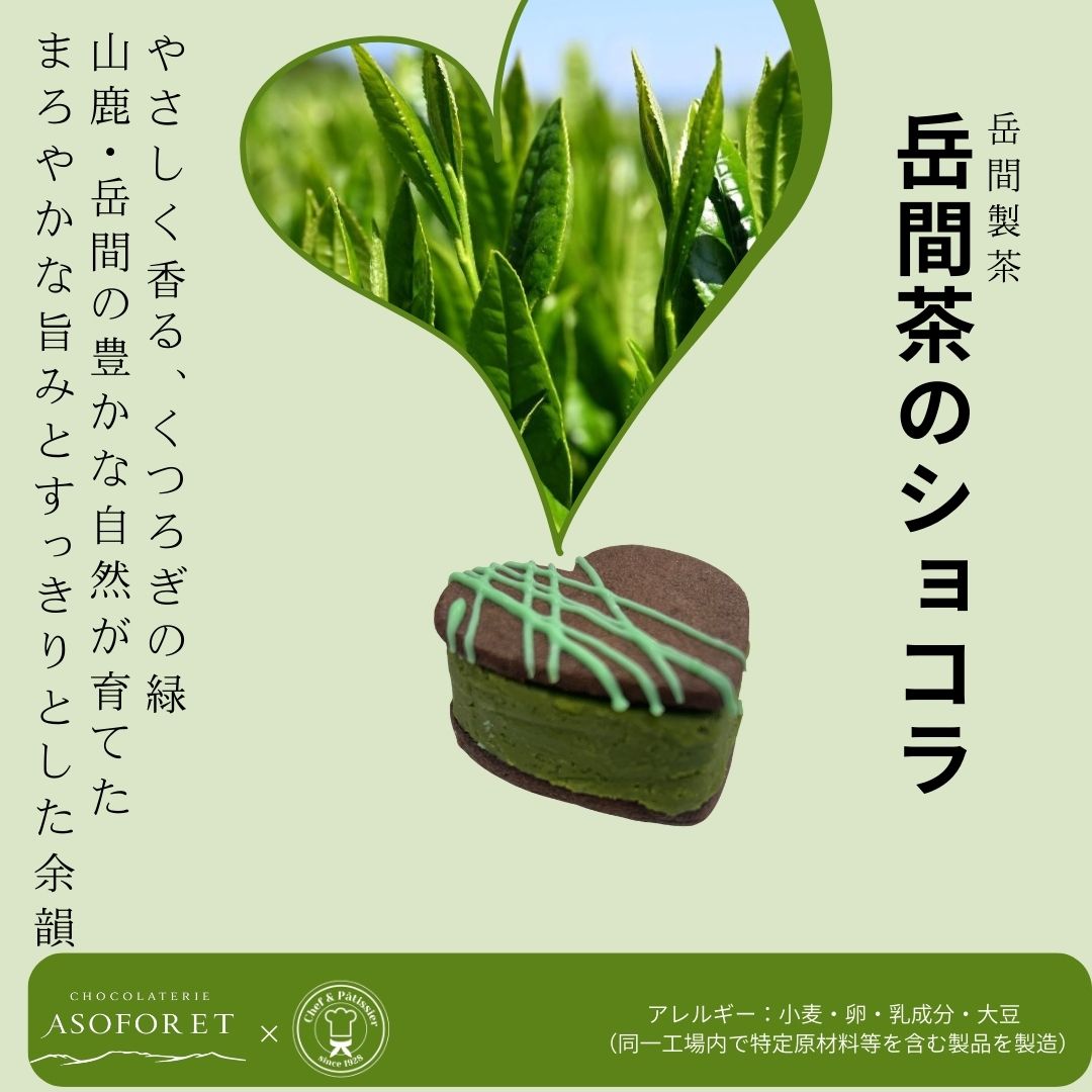 推しに捧げるカラフルガナッシュサンド｜選べる7色｜推し活スイーツ｜ギフト対応可