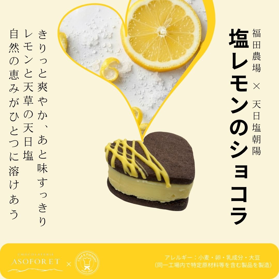 推しに捧げるカラフルガナッシュサンド｜選べる7色｜推し活スイーツ｜ギフト対応可