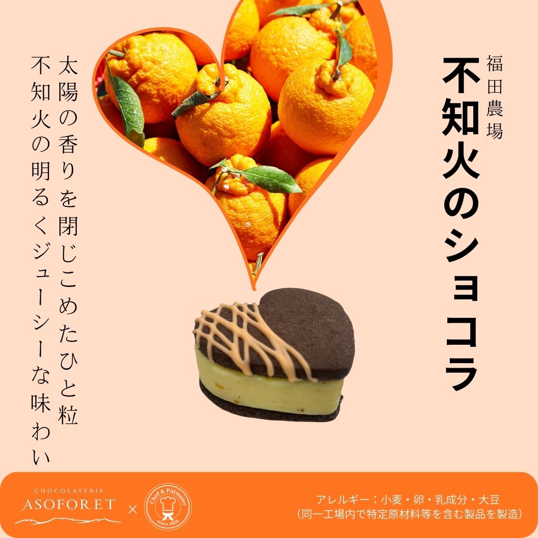 推しに捧げるカラフルガナッシュサンド｜選べる7色｜推し活スイーツ｜ギフト対応可