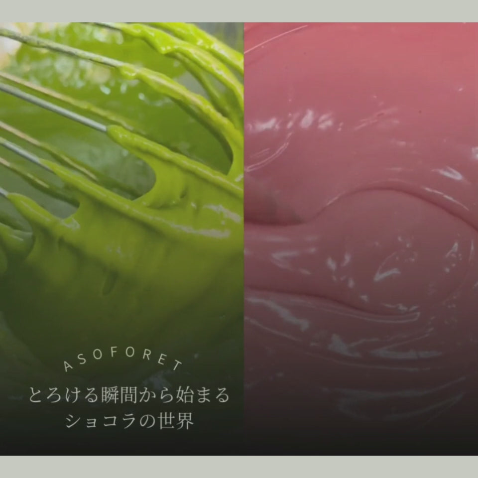 推しに捧げるカラフルガナッシュサンド｜4個ランダムセット｜推し活スイーツ｜