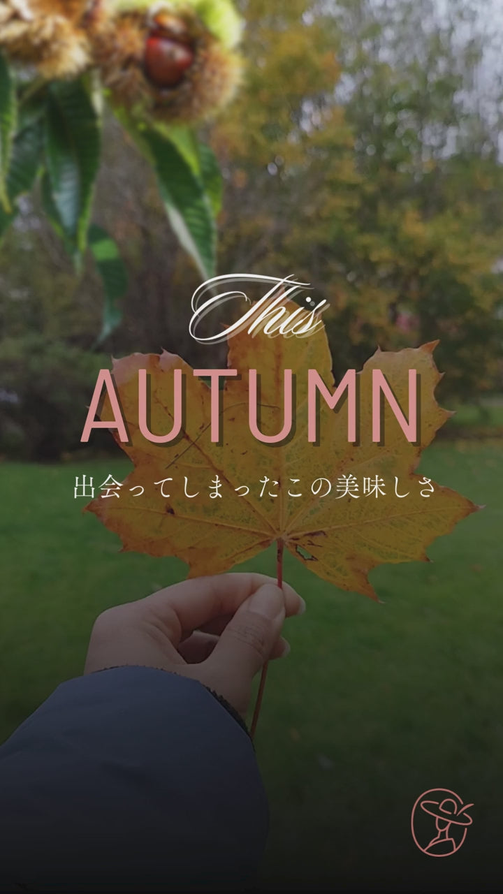 【冷凍】栗BA・SU・LE（バスクチーズケーキ × 栗×スフレチーズケーキ）