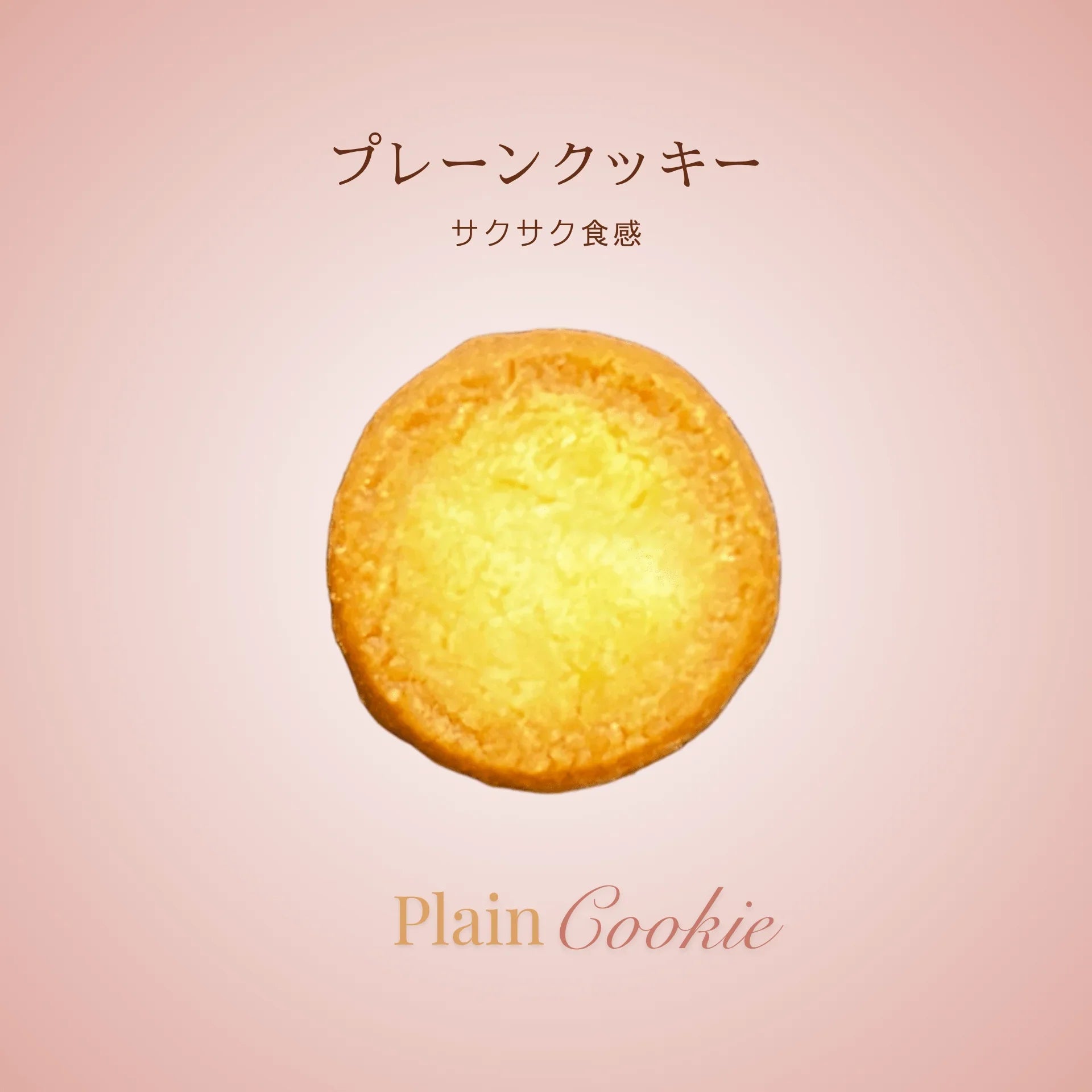 プレーン (ハードクッキー) - 清正ストア