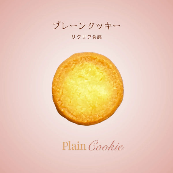 プレーン  (ハードクッキー)